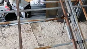 Как начать тепличный бизнес