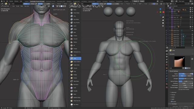 Part 02 - Sculpting The Torso