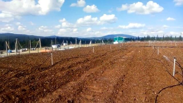 Как извлекают золото из дробленной руды смотреть онлайн