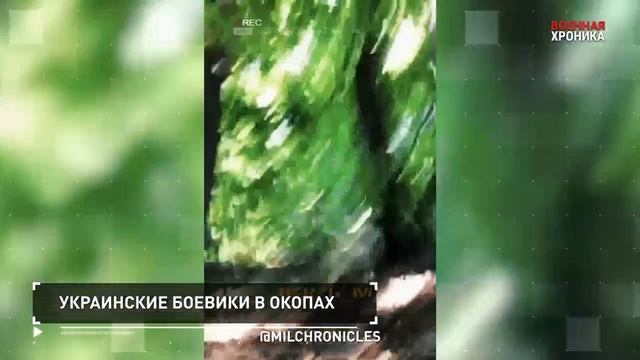 1 июля, Военная хроника. Главные события этого дня.