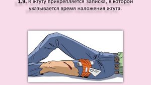 Медицина ПДД Глава 1 «Наружные кровотечения»