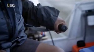 Nat Geo Wild. Жизнь на Большом Барьерном рифе.