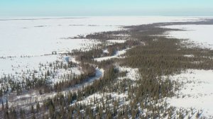 река Омица, Ненецкий автономный округ, Россия/Omitsa River, Nenets Autonomous Okrug, Russia
