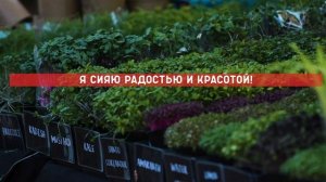 ЛУИЗА ХЕЙ АФФИРМАЦИИ НА САМОУВАЖЕНИЕ И ЛЮБОВЬ К СЕБЕ. Версия для МУЖЧИН и ЖЕНЩИН.