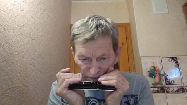 The Unforgiven - Metallica - Harmonica Larry Adler Professional 16 смотреть онлайн