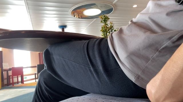 日本最大級のフェリーで荒れた太平洋をフェリー旅してみた | ちょっと高級なランチも@「グリル」 | 東京九州フェリー (新日本海フェリー) すいせん ツーリストA смотреть онлайн