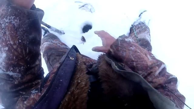 ЗИМНЯЯ РЫБАЛКА 2020 НА ЧЕБАКА! смотреть онлайн