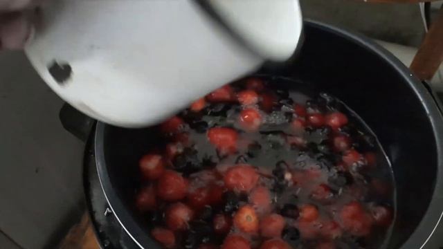 Пароварка в деле?/Сколько времени готовится компот в пароварке?