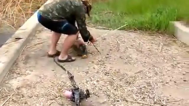 Трофейная рыбалка с луком