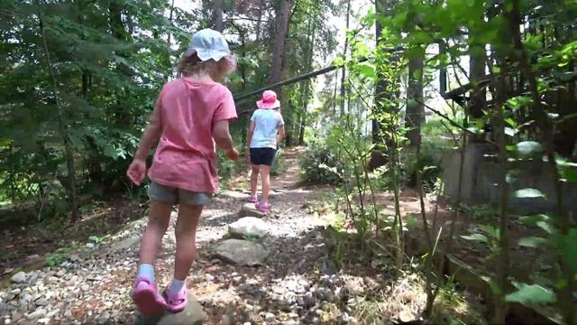 Пансионат Шексна, Сочи, 2021 Плюсы и минусы, территория смотреть онлайн