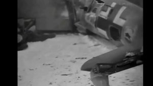 Волховская застольная