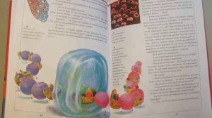 Г. Юдин. Главное чудо света. Отрывок