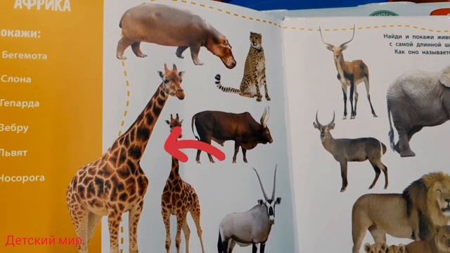 Животные детям.Животные тундры,тайги,степи,Африки, Арктики и др.Развивающее видео для детей#животны смотреть онлайн