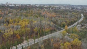 Песня про Липецк. Семья Назарчук.