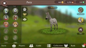 Открытие сундуков Вилд Крафт.💰💎 150 Рысь Wildcraft. Мистик🔥 Вайлд Крафт