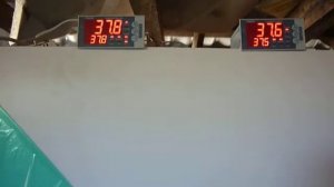 тест температуры в самодельном инкубаторе на 8 кубов.