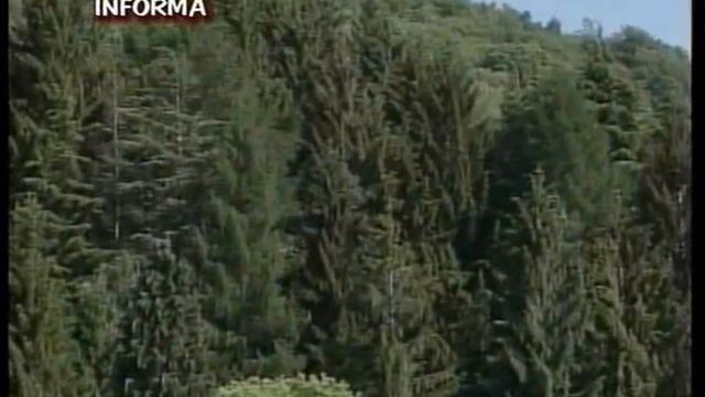 Le strade della Valcuvia ad Alfredo Binda смотреть онлайн