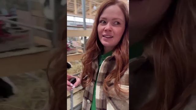 27 ЛИТРОВ МОЛОКА В ДЕНЬ С ОДНОЙ КОРОВЫ!! #буднифермера