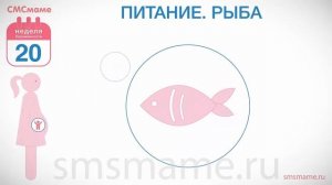 20 неделя беременности - половина пути пройдена!