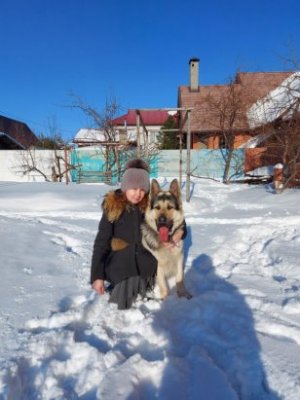 В ХОД ПОШЛИ КОНСЕРВЫ