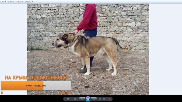 Гергебильская линия - СТРИМ! смотреть онлайн