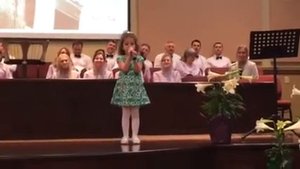 Рано Утром Птичка Крошка