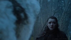 Долгожданная встеча Арьи и Нимерии. Игра Престолов