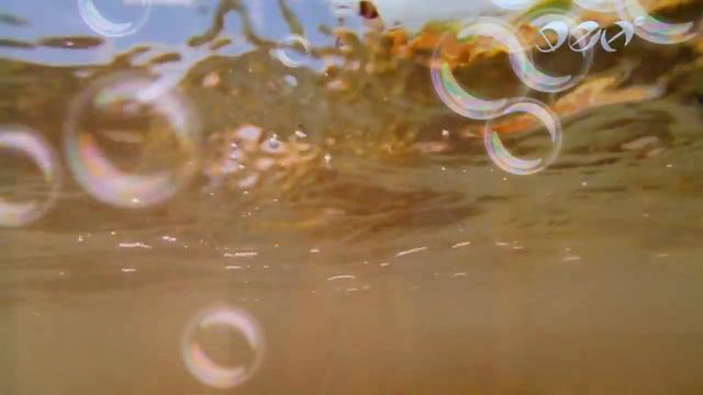 Лета хочу смотреть онлайн