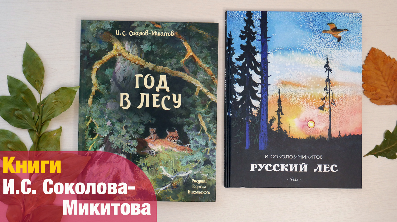 Микитов русский лес читать. Детская литература про лес. Отец-лес книга. Звезда в лесу книга. Книга Соколов Микитов 1954г.