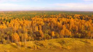 Участки в деревне Ларионово