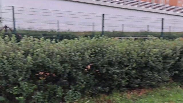 г. Москва, район Некрасовка, пр. Защитников Москвы. г. Люберцы, микрорайон Красная горка. Эстакада. смотреть онлайн