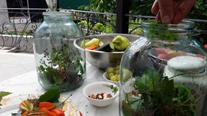 ПОМИДОРЫ, ОГУРЦЫ, ЦУККИНИ и другие квашенные овощи