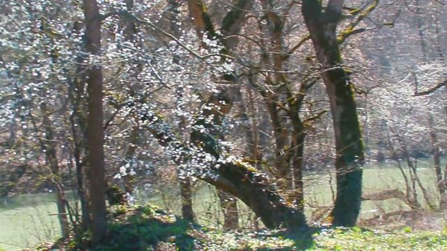 Отель "Старый замок". Март 2013 смотреть онлайн