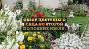 Обзор цветущего сада во ВТОРОЙ половине июля.?