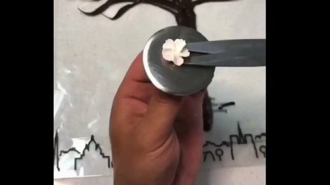 Fresh Fruit Cake Decorating Ideas- Mixed Fruit Cake Decoration Ideas | Birthday Fruit Cake Design |