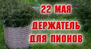 22 мая. Держатель для пионов из ротанга