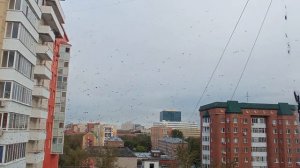 Лифт (КМЗ 2006 г.) Одесская 44, подъезд 4, г. Тюмень