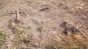 Порвало диск сцепления МТЗ ремонт