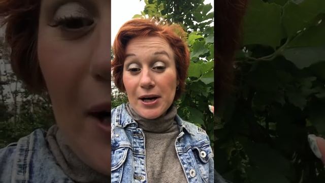 Что выбирать профессию или специализацию смотреть онлайн