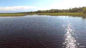 Лучшая рыбалка в ХМАО/ р.Вах /07.2022