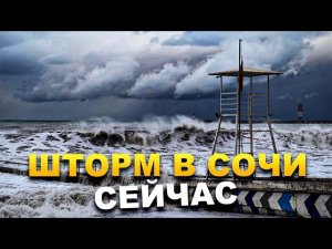 ПОГОДА В СОЧИ СЕГОДНЯ ☔️ +10 ВОЗДУХ, ВЕТЕР, ДОЖДЬ ️ ПОГОДА В СОЧИ НА ДЕНЬ НОЯБРЬ