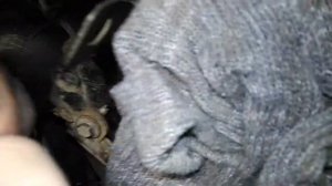 замена уплотнительных колец на форсунках