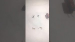 Не горит настольная лампа РЕМОНТ