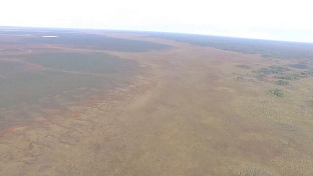 Васюганское болото с квадрокоптера DJI Phantom 3 Pro, Новосибирская область смотреть онлайн