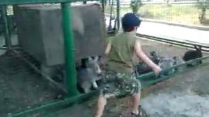 мой сын в зоопарке