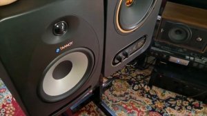 TANNOY GOLD 8 vs TANNOY REVEAL 802
