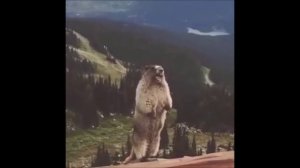 Милан 2.mp4