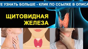 Лазарев с.Н. Щитовидная железа
