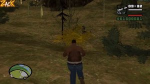 5 крутых багов в GTA: San Andreas !!!