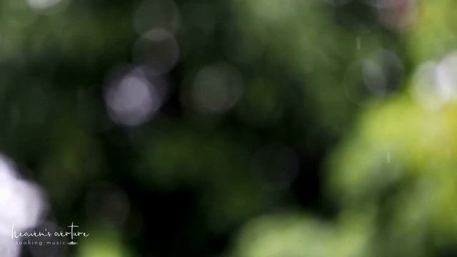 The Calm with Rain (Beautiful Instrumental Piano with Nature Sounds) смотреть онлайн